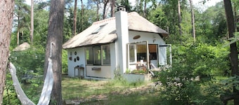 Quaint Cottage in Doorn With Pool, Garden & BBQ