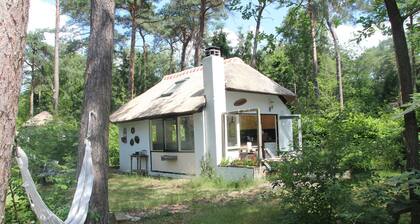 Quaint Cottage in Doorn With Pool, Garden & BBQ