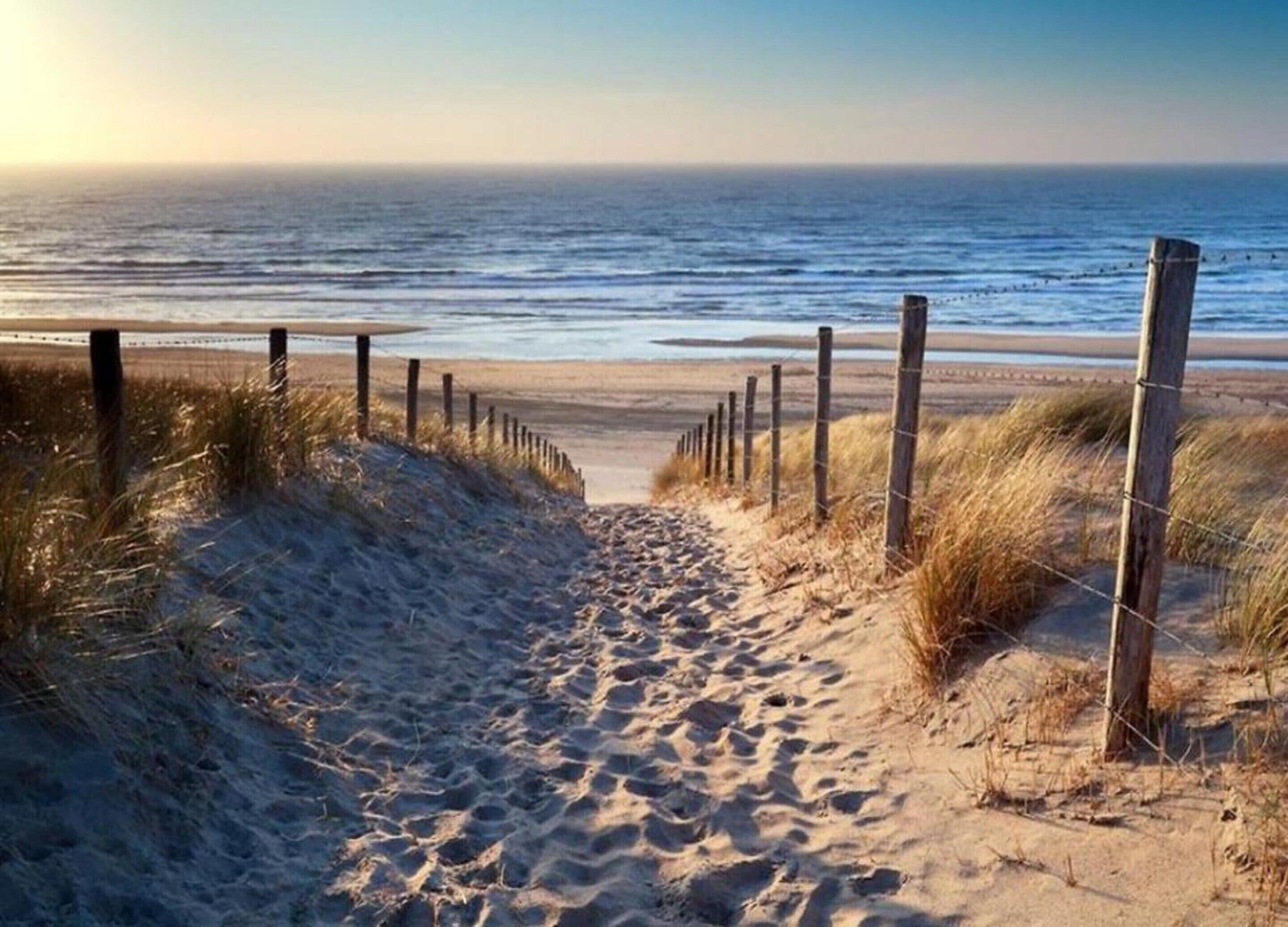 A sandy beach path leading to the ocean, bordered by wooden posts and grass.