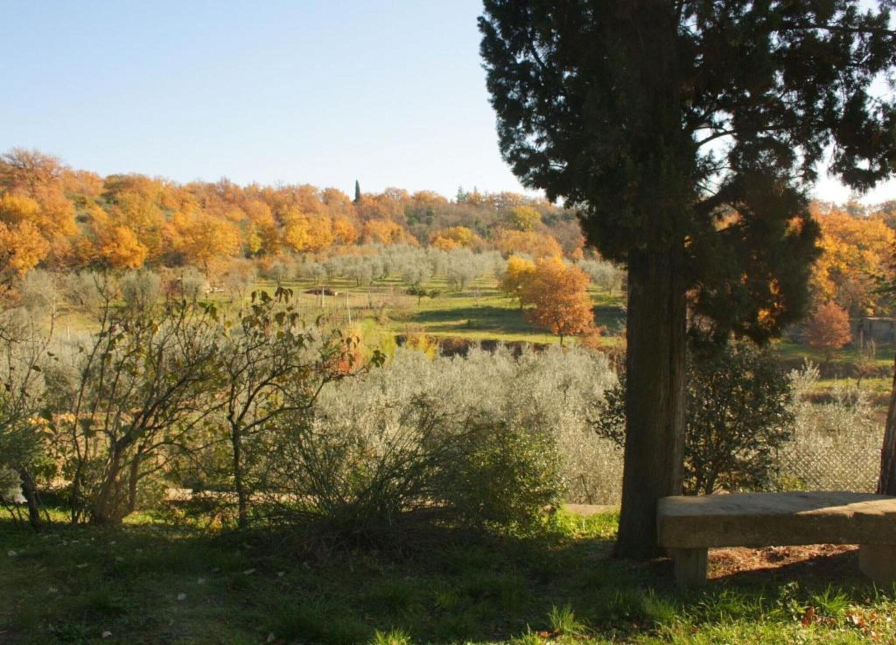 Vista desde la propiedad