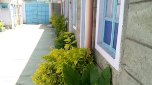 Un edificio con recepción, una verja azul y una jardinera con plantas verdes.