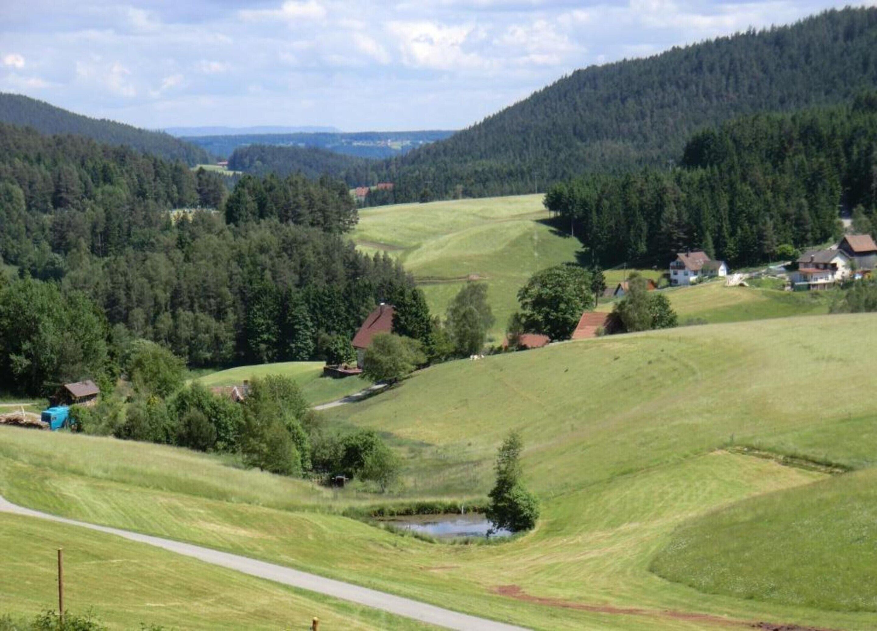 Utsikt fra overnattingsstedet