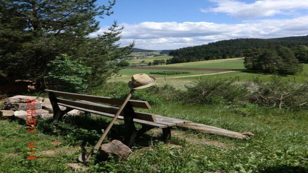 Un banc en bois, placé dans un cadre naturel, offre une vue sur un paysage verdoyant et des arbres.