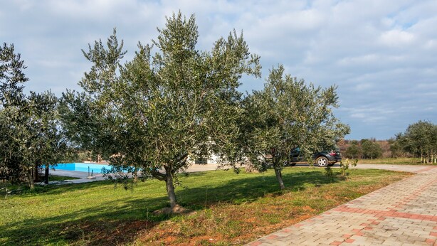 House | Garden - Beautiful Holiday Home in Novigrad With Private Swimming Pool (Novigrad)