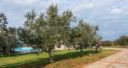 Beautiful Holiday Home in Novigrad With Private Swimming Pool