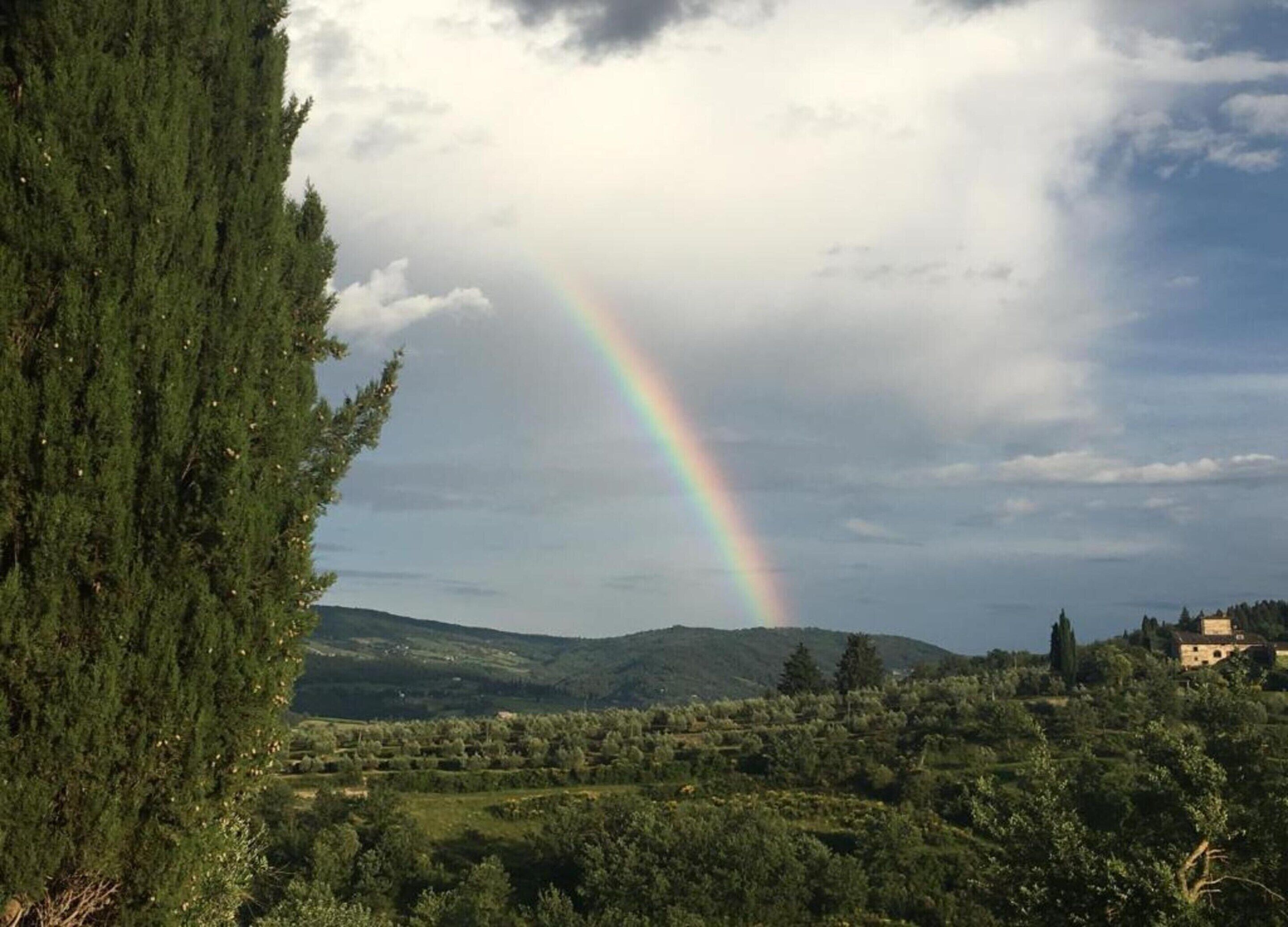 A landscape with a rainbow, trees, and a distant building.