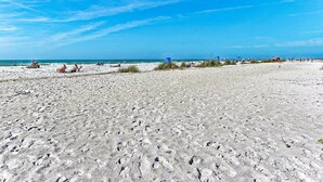 Une plage de sable blanc, un ciel bleu dégagé et une végétation clairsemée.