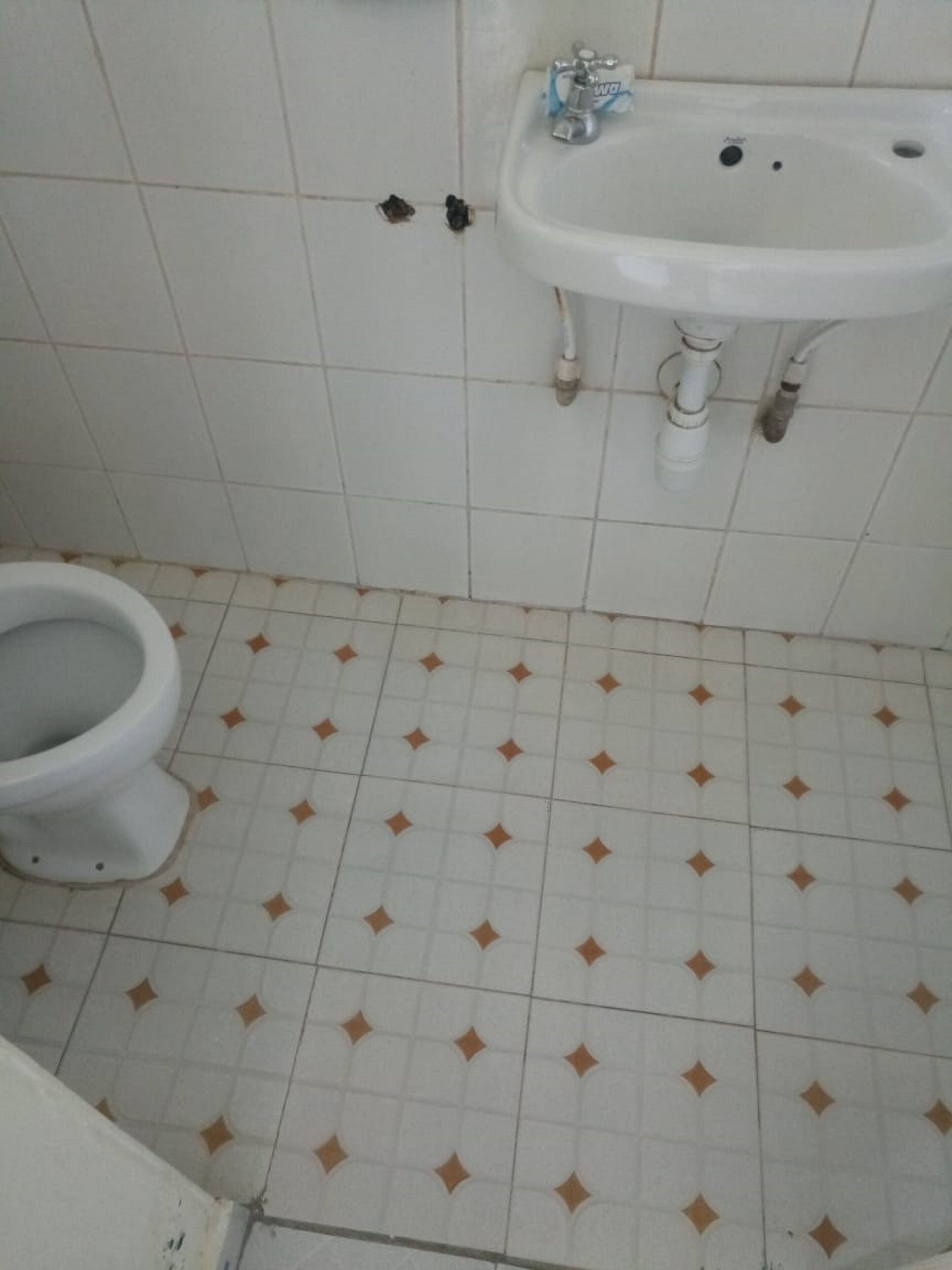 Un baño con inodoro, lavamanos y baldosas de suelo estampadas.