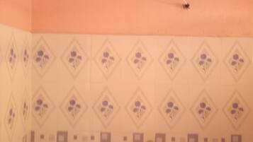 Single Room | Bathroom | Shower, rainfall showerhead, slippers, towels