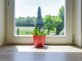 Vista desde la propiedad