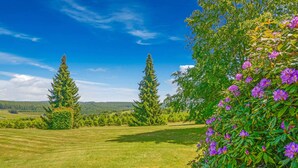 Ein grünes Feld mit Bäumen und violetten Blumen.