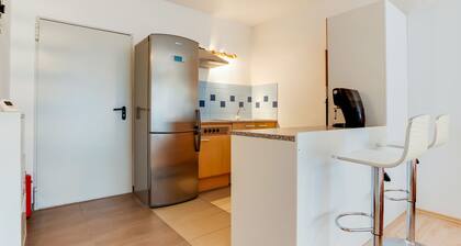 Ravishing Apartment in Hohenau an der March With Garden and Garage