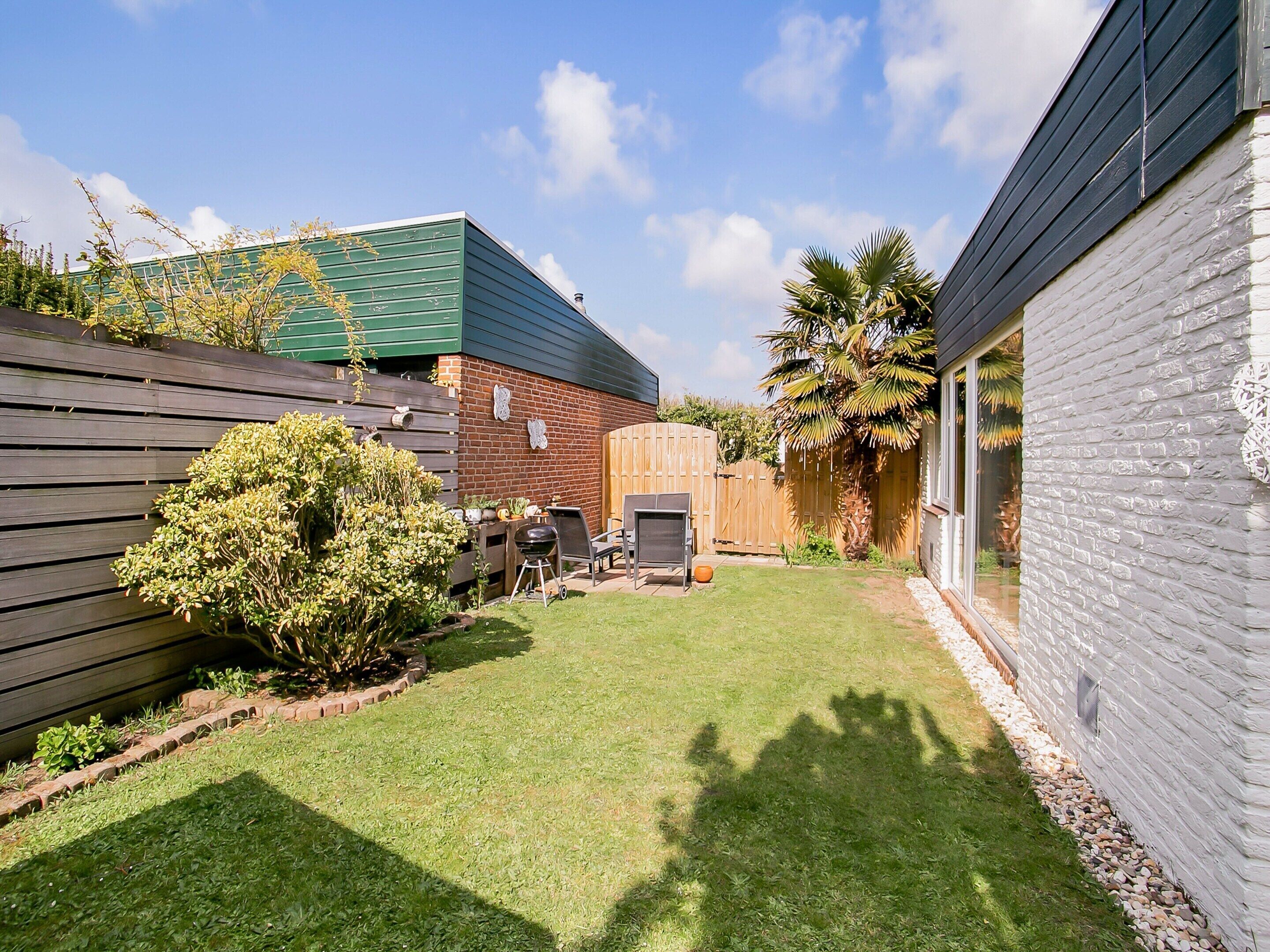 A backyard with a wooden fence, a brick wall, and a palm tree.
