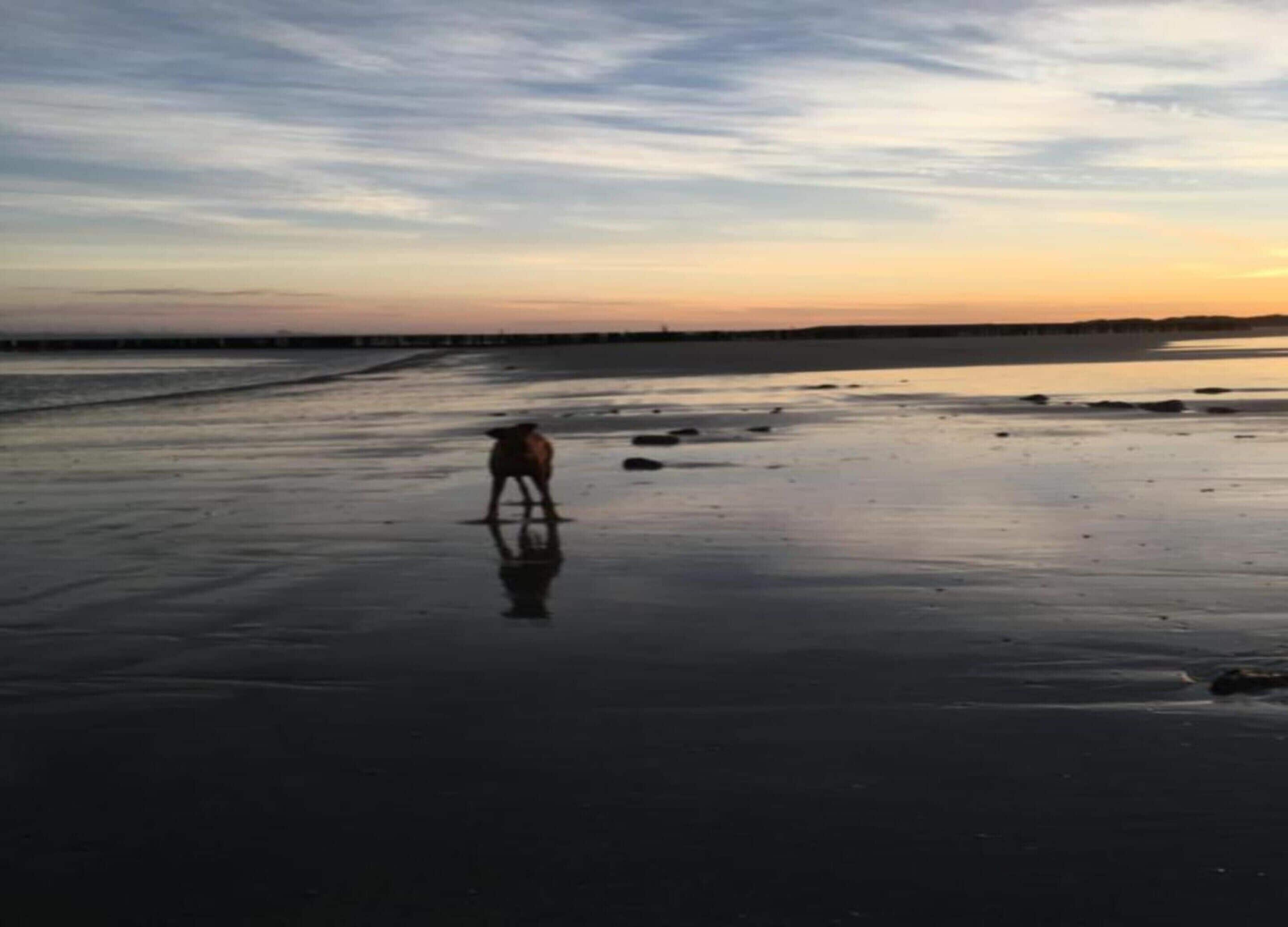 ハウス | 施設からの眺望
