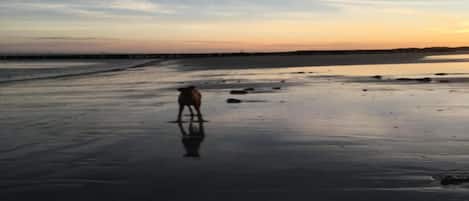 House | View from property