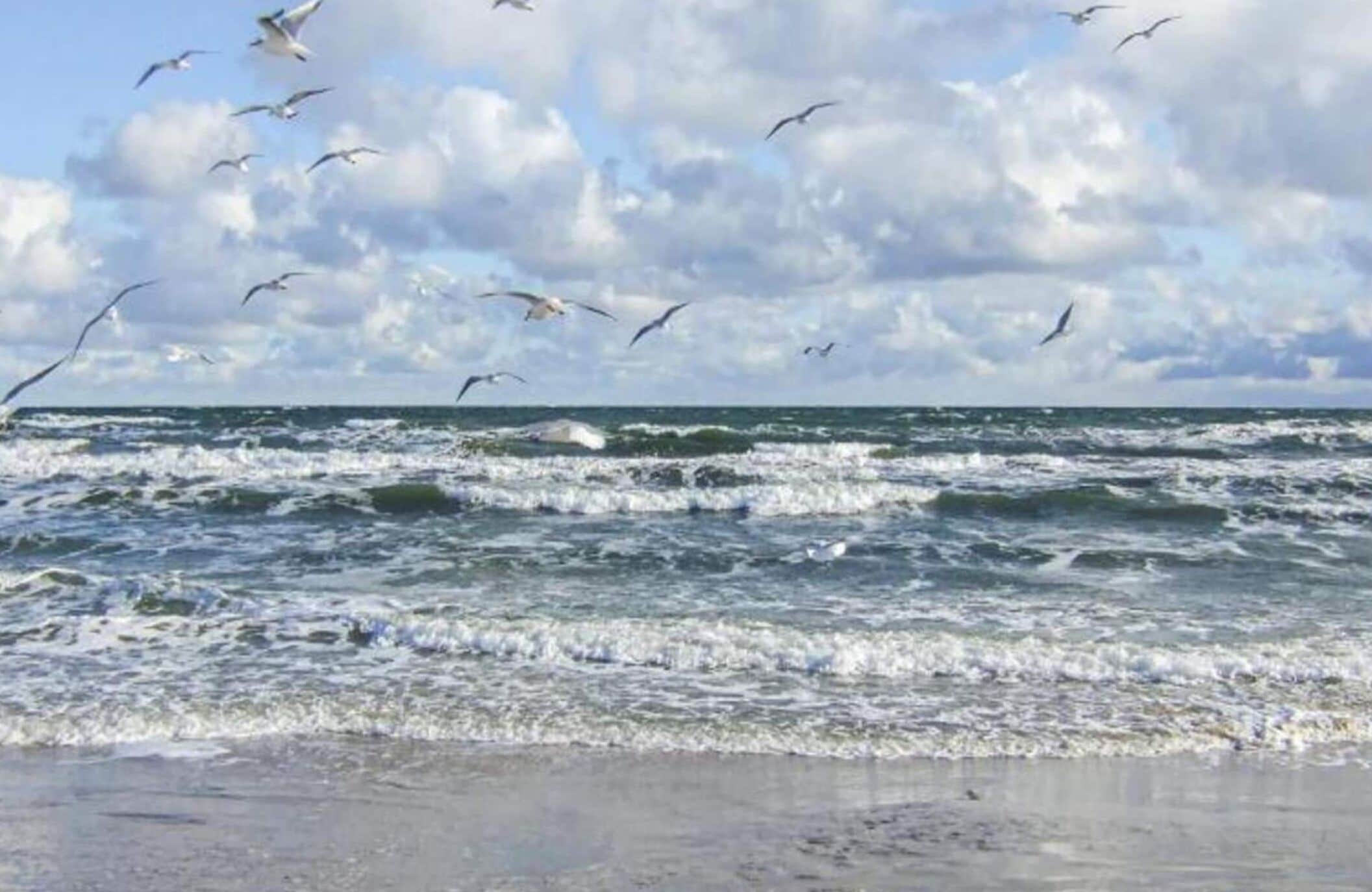 Apartment | Blick von der Unterkunft