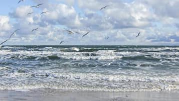 Apartment | View from property