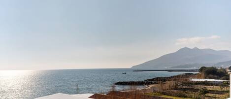 Apartment | View from property