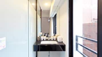 Shower, hair dryer, slippers, bidet