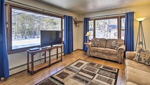 A living room with a television, sofa, and a rug. - Simple Cranberry & Wine Farm Home w/ Fire Pit! (Eagle River)