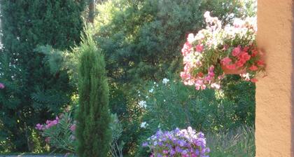 Frejus Villa With Private Pool & Beach