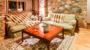 Villa | Living room | Fireplace, DVD player