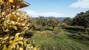 An orchard with citrus trees and a clear view of distant mountains. - Holiday Villa With sea View in Paralia Avlidas (Chalcis)