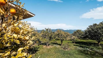 Cottage | View from property