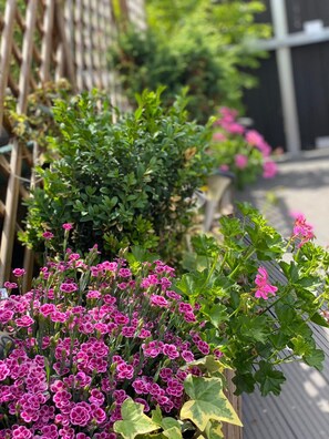 Huis | Balkon