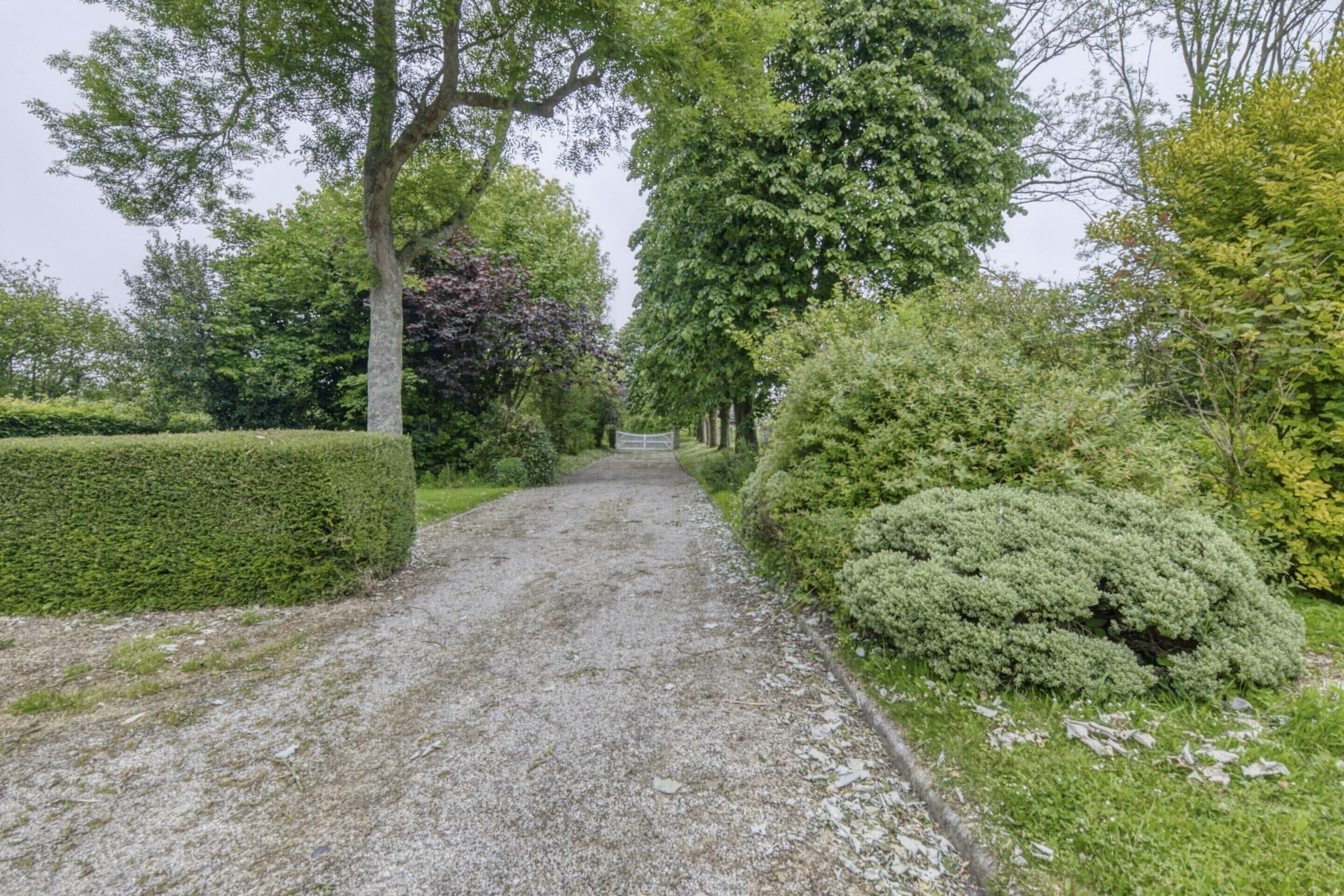 House | View from property