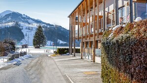 Unclassified image, 2 of 30, button - Lovely Holiday Home in Kaprun With Terrace (Kaprun)