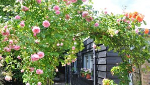 Exterior - Alluring Bungalow in Castricum With Garden (Castricum)