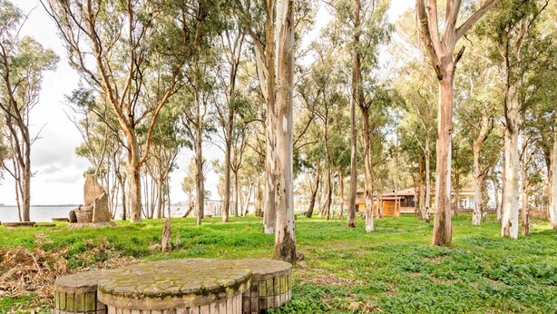 A park with a circular stone bench, trees, and a building in the background. - Homes in the Lagoons of Santa Giusta (Santa Giusta)