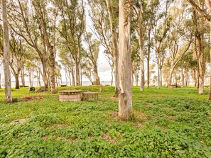 House | Garden - Homes in the Lagoons of Santa Giusta (Santa Giusta)
