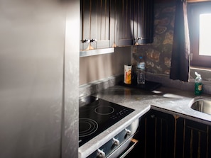 Villa | Private kitchen | Fridge, oven, stovetop, dishwasher