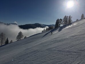 Sneklædt skråning med en skiløber, træer og en klar himmel.
