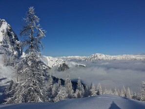 Et sneklædt bjerglandskab med træer og en klar himmel.