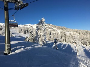 Wintersport/Ski
