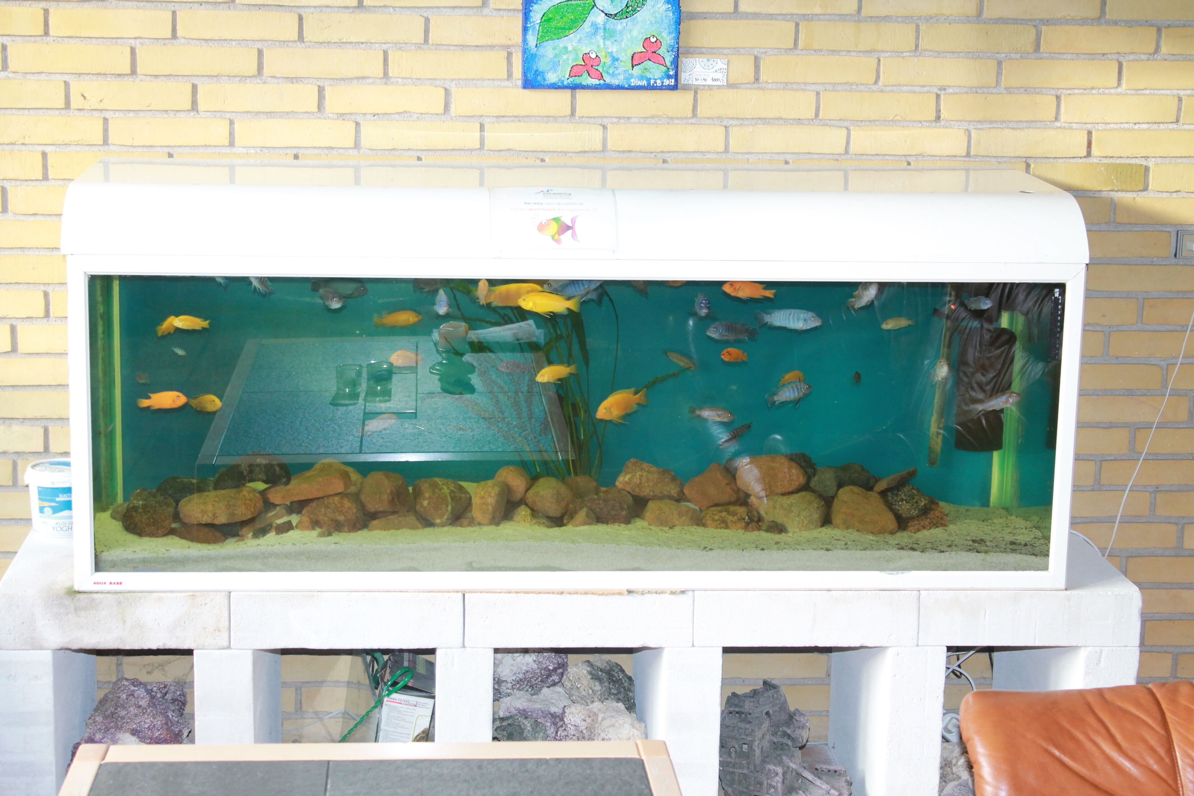 A large aquarium with various fish, set against a brick wall.