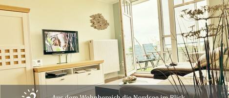 Una televisión LCD, videojuegos, un reproductor de DVD, libros