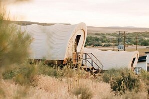 Exterior - Zion Wildflower, BW Premier Collection (Virgin)