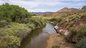 A river flowing through a valley with greenery on both sides and mountains in the background. - Zion Wildflower Resort, WorldHotels Backdrop (Virgin)