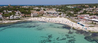 Comitas Isla del Aire