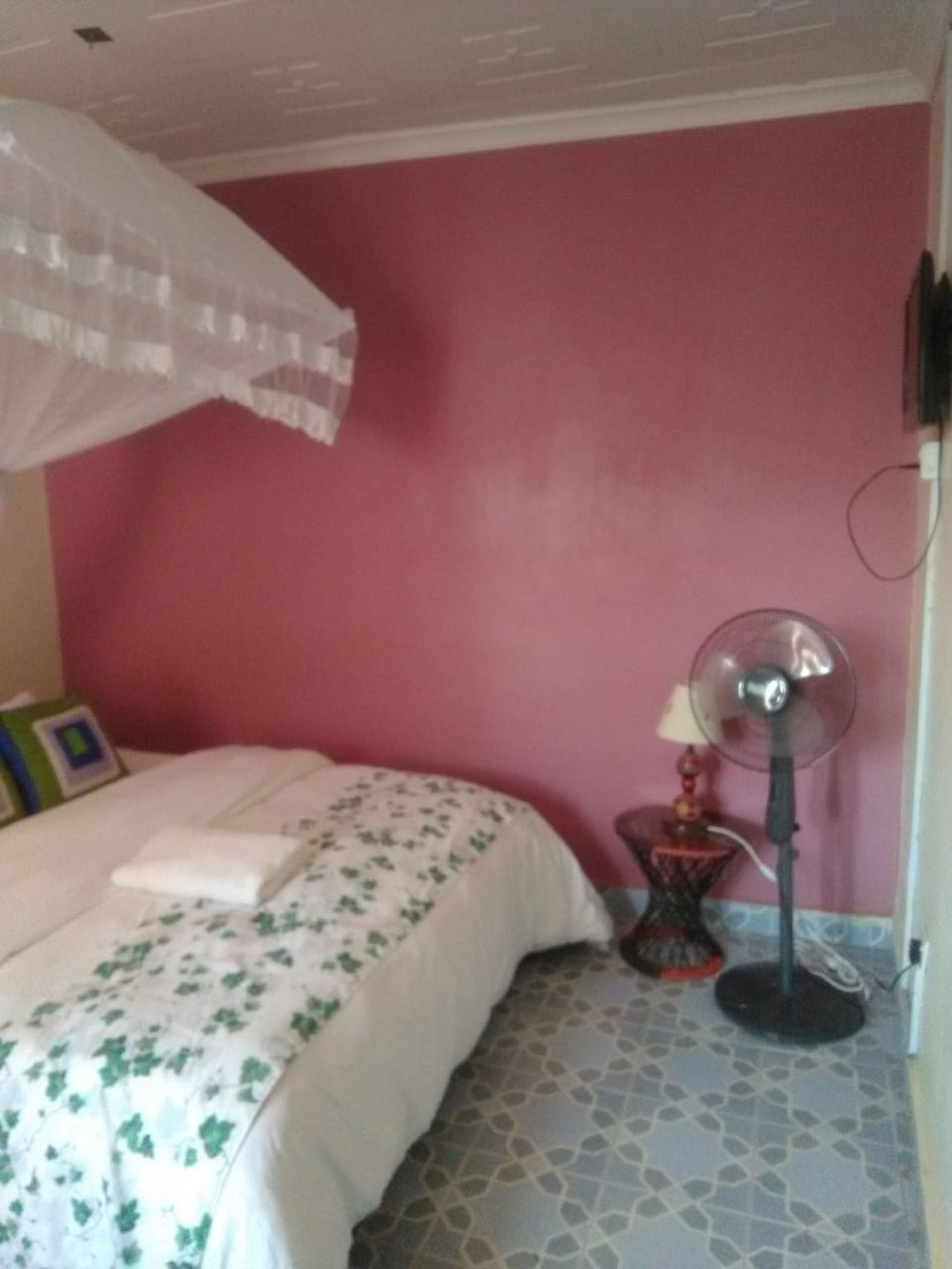 A bedroom with a bed, a bedside table with a lamp, a standing fan, and a mosquito net over the bed.