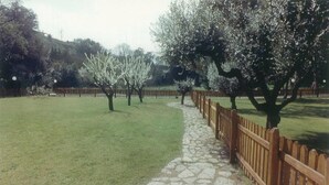 A stone pathway leading through a park with a wooden fence on one side and trees with white blossoms on the other.