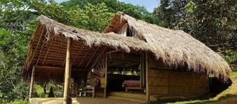 Cebu Hostel and Glamping