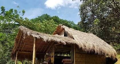 Cebu Hostel and Glamping