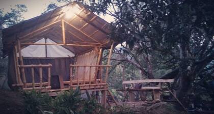 Cebu Hostel and Glamping