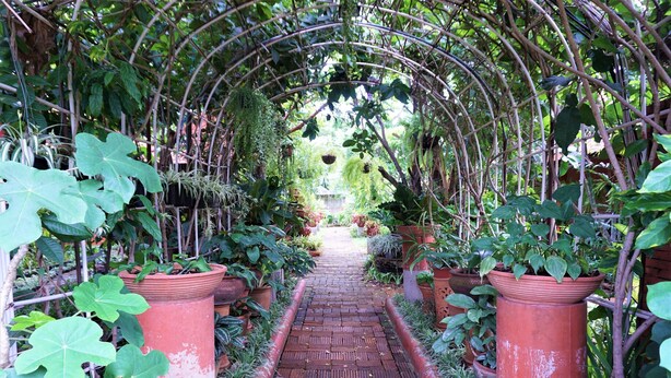 A brick pathway flanked by large terracotta planters and a vine-covered archway leading to a garden area. - Euangnuae Resort (Mae Rim)