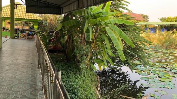 A covered outdoor area with a tiled floor, a metal railing, and a pond with lily pads. - Romsai Resort (Bang Lamung)
